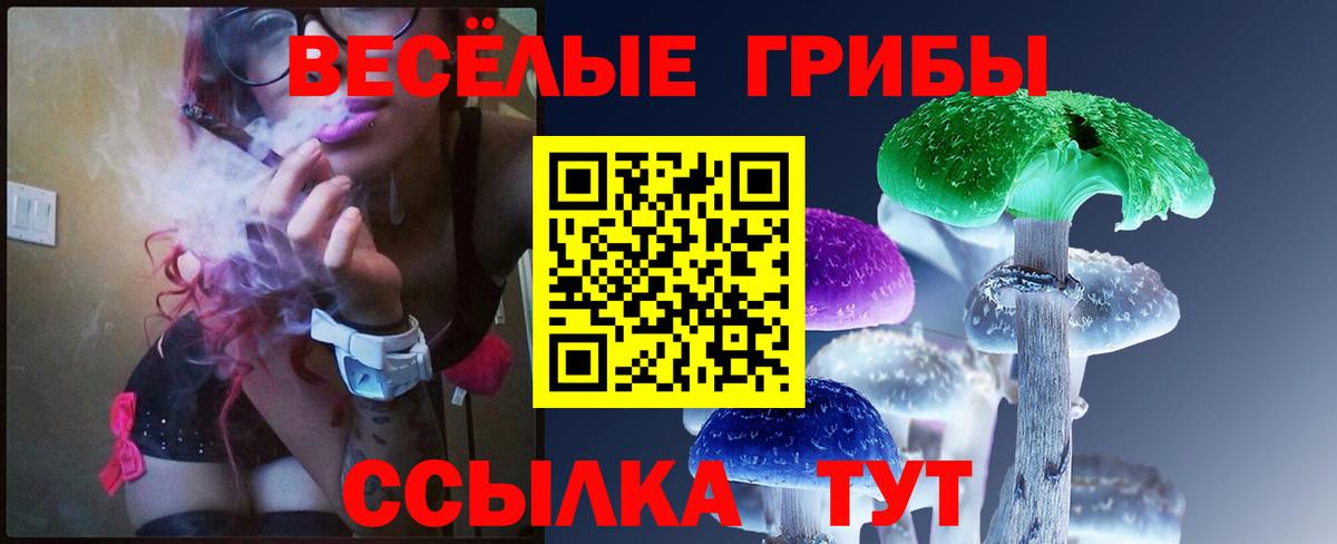 Псилоцибиновые грибы Psilocybine cubensis Шатура